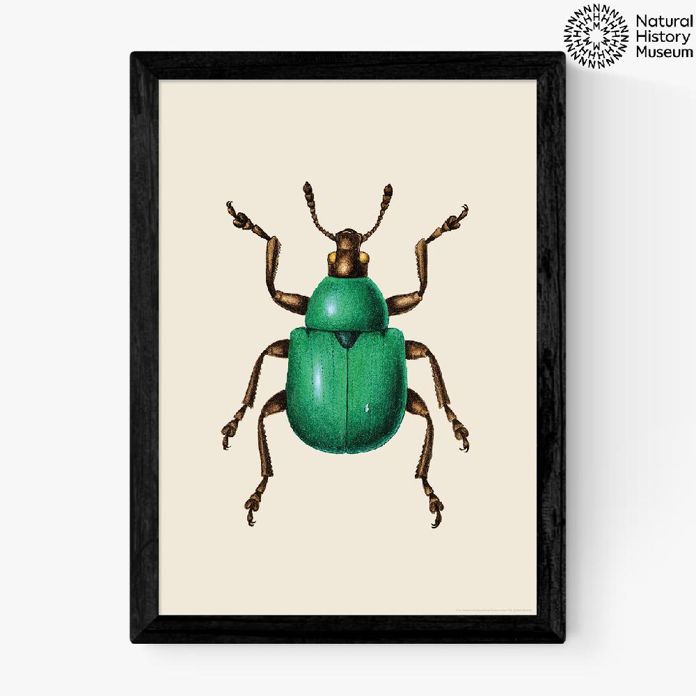 east end prints Green Beetle