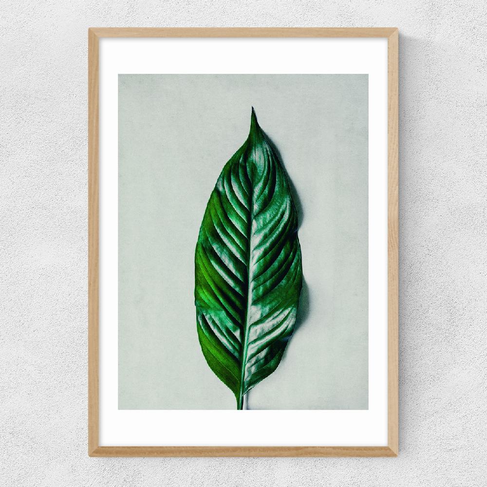 East End Prints Green Leaf