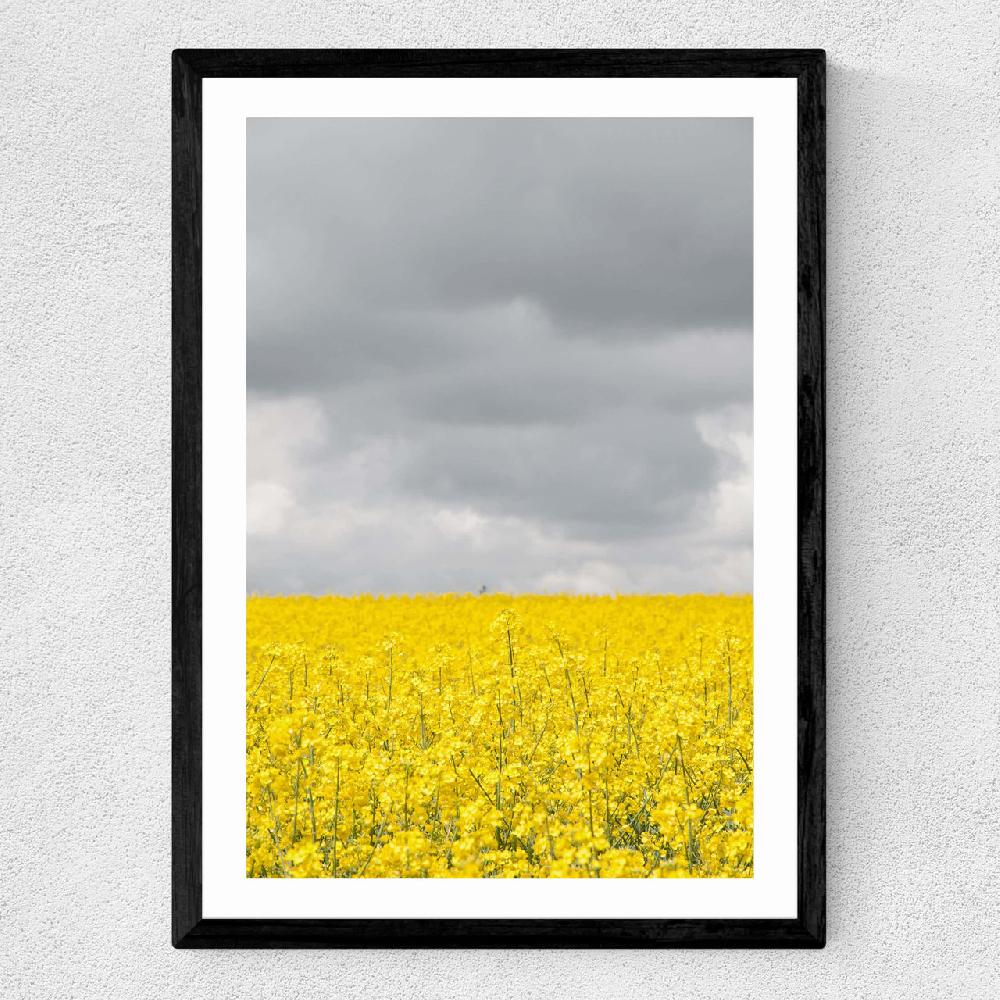 East End Prints Grey And Yellow Fields