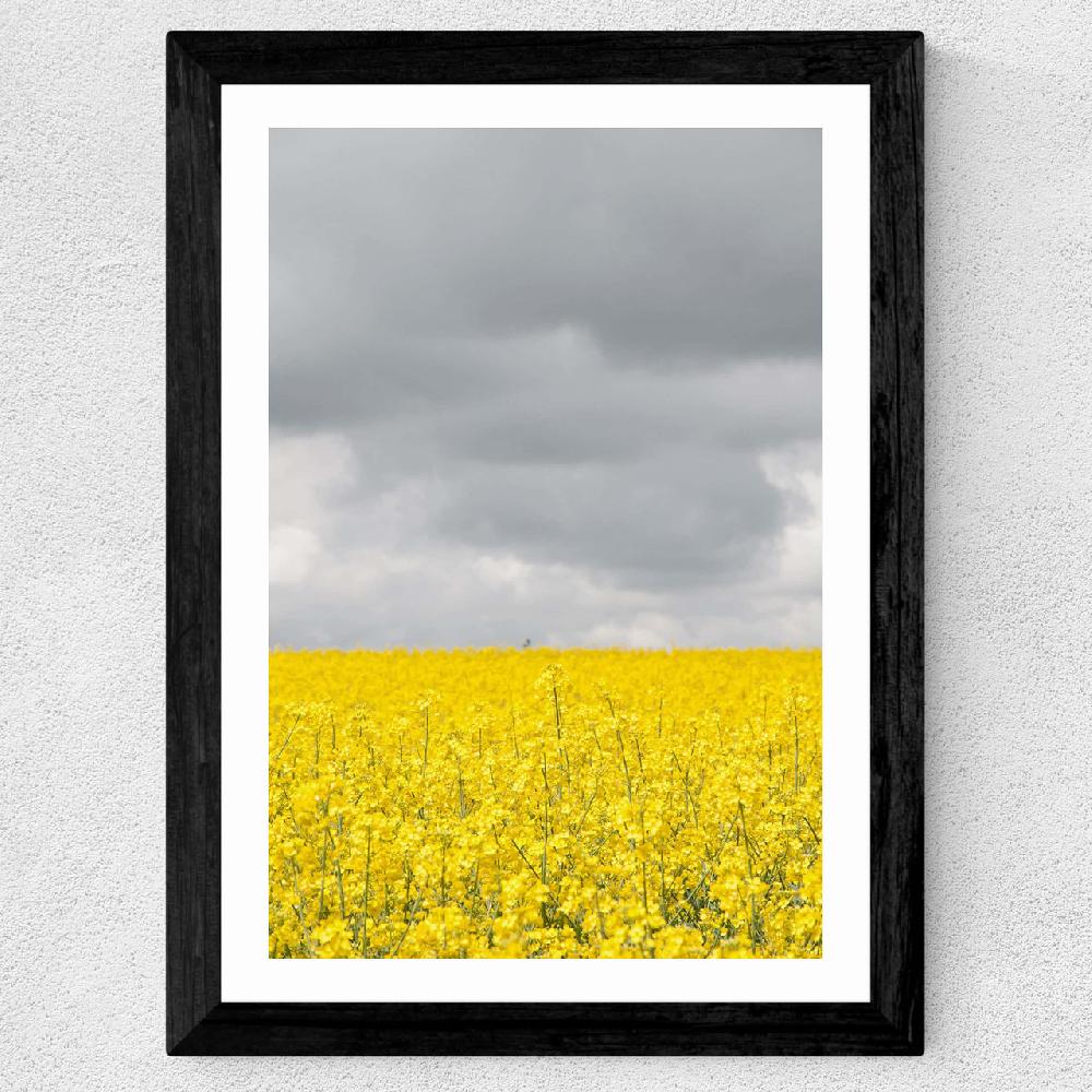 East End Prints Grey And Yellow Fields