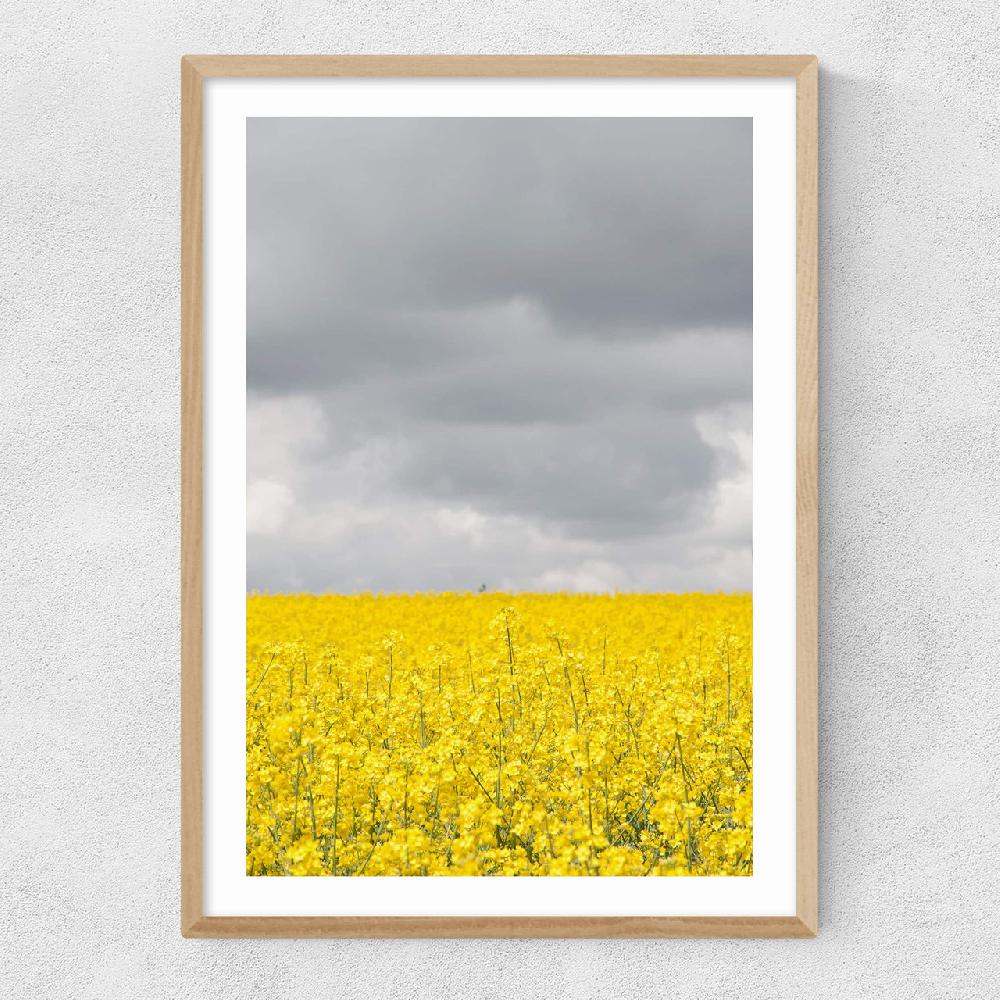 East End Prints Grey And Yellow Fields