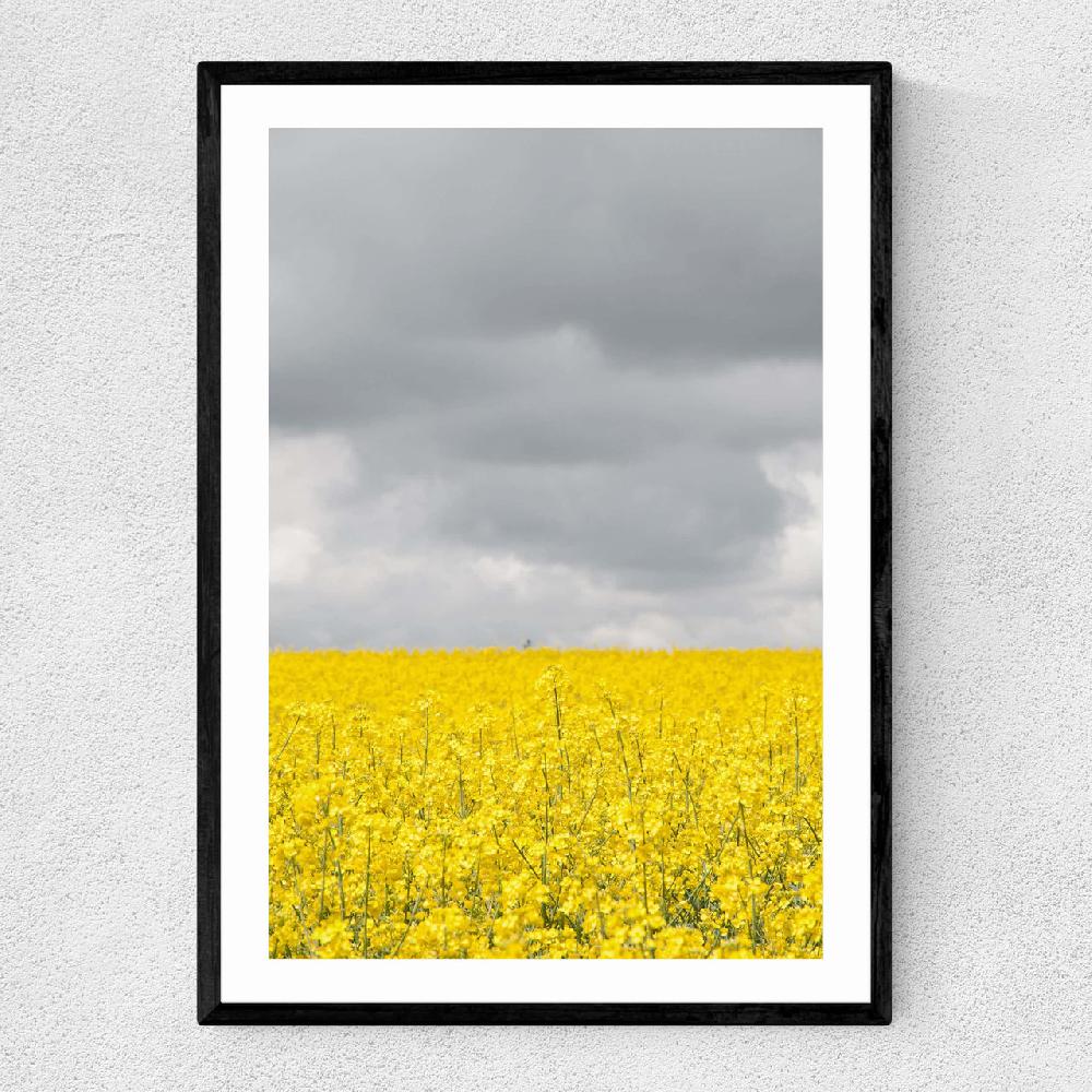 east end prints Grey and Yellow Fields