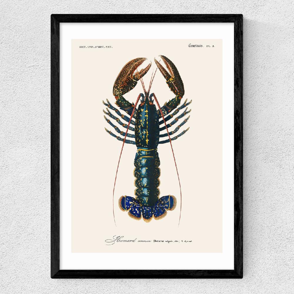 East End Prints Homard