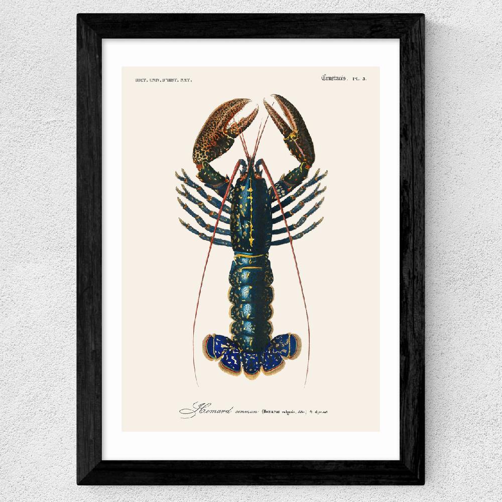 East End Prints Homard
