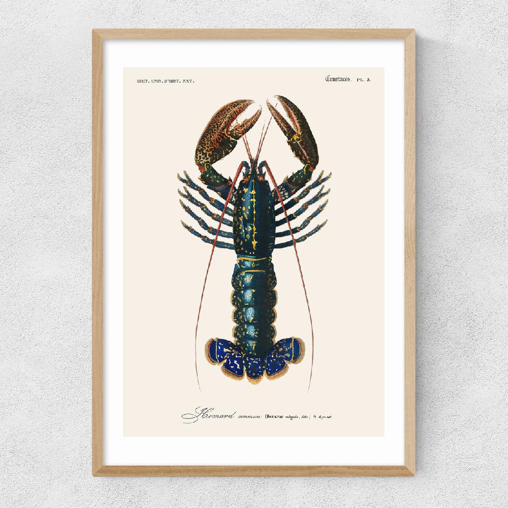 East End Prints Homard