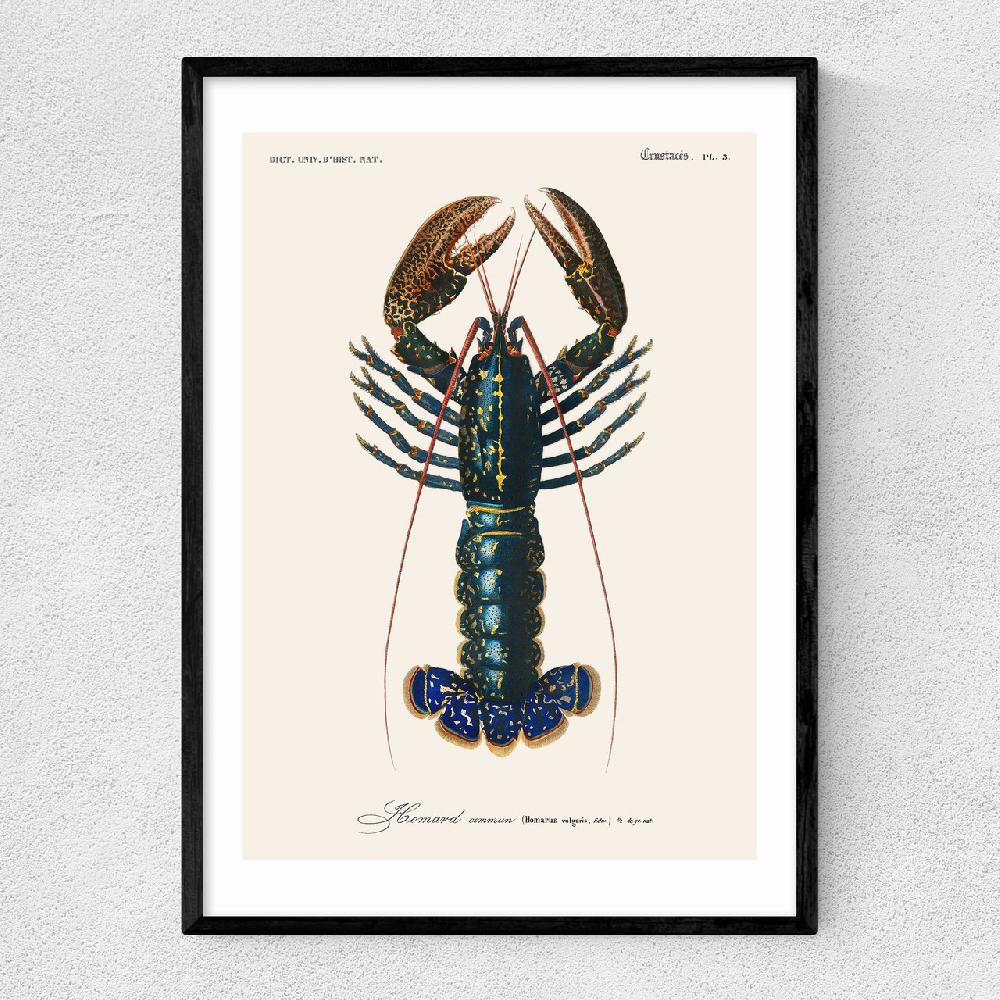 east end prints Homard