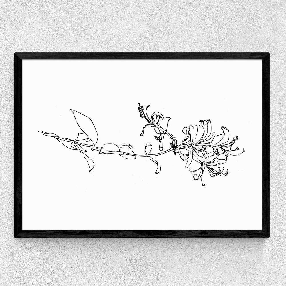 East End Prints Honeysuckle