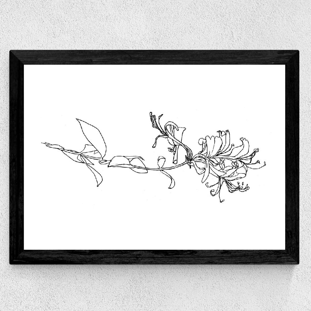 East End Prints Honeysuckle