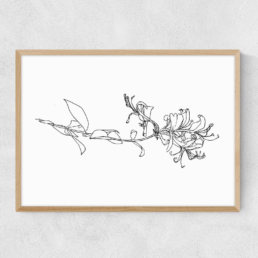 East End Prints Honeysuckle
