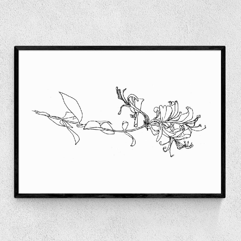 east end prints Honeysuckle