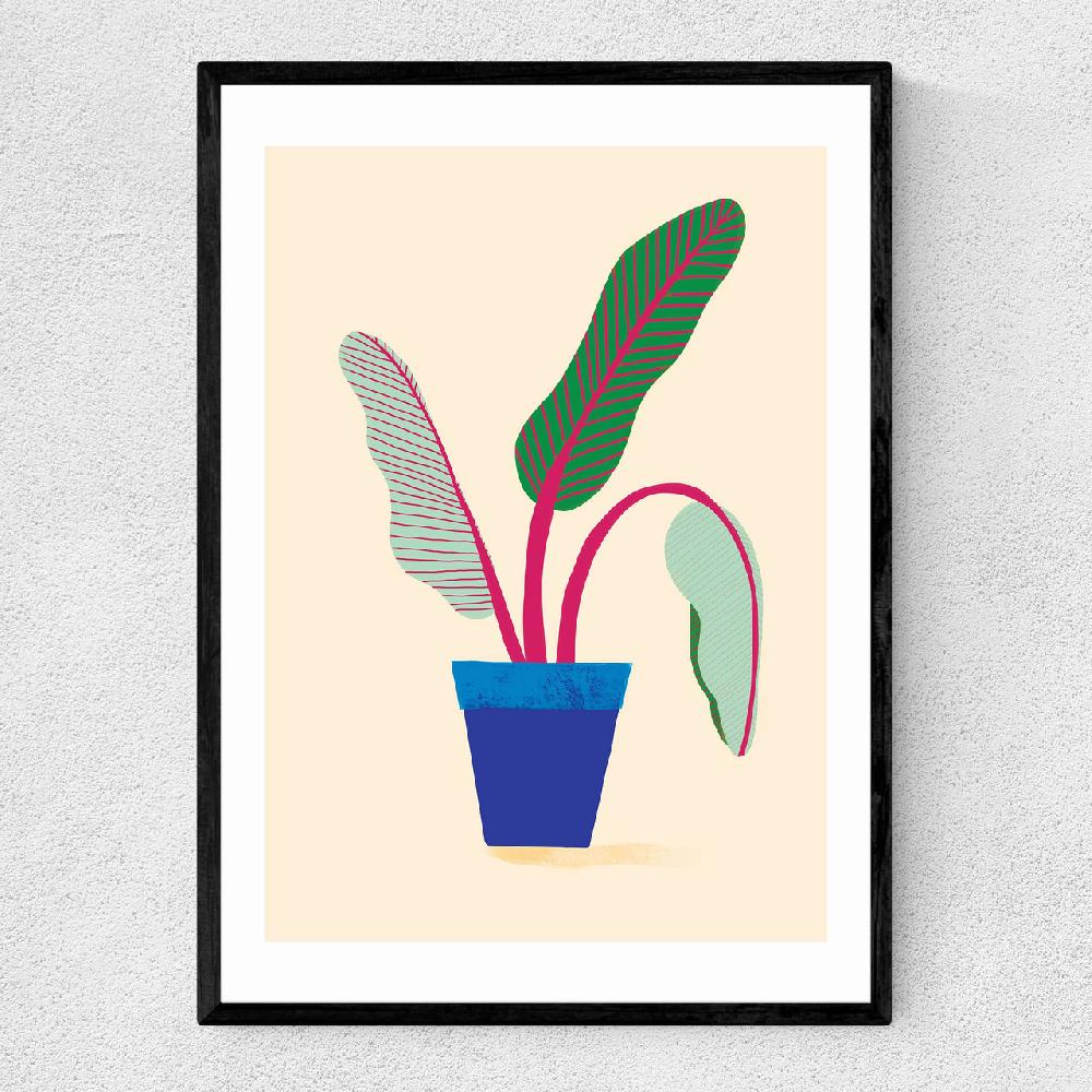 east end prints House Plant