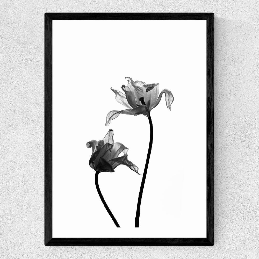 East End Prints Iris By Honeymoon Hotel