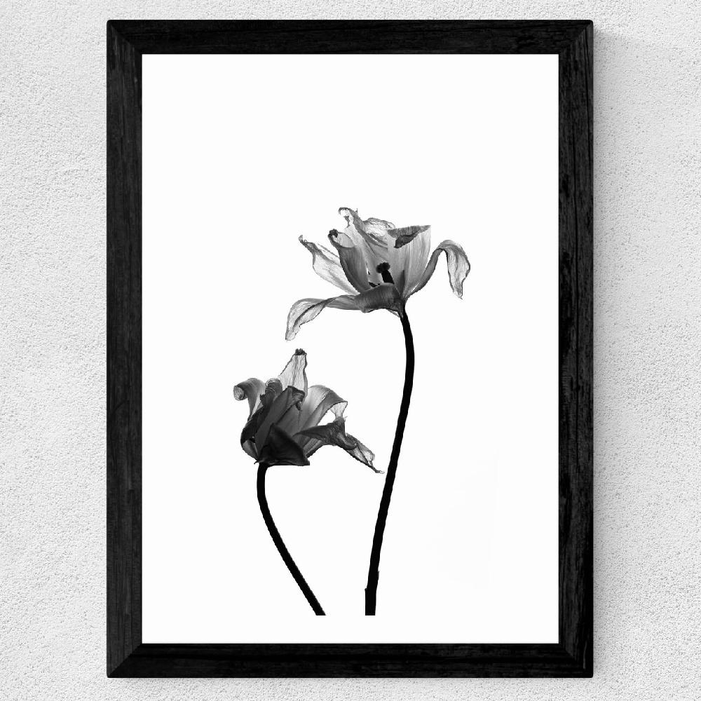 East End Prints Iris By Honeymoon Hotel
