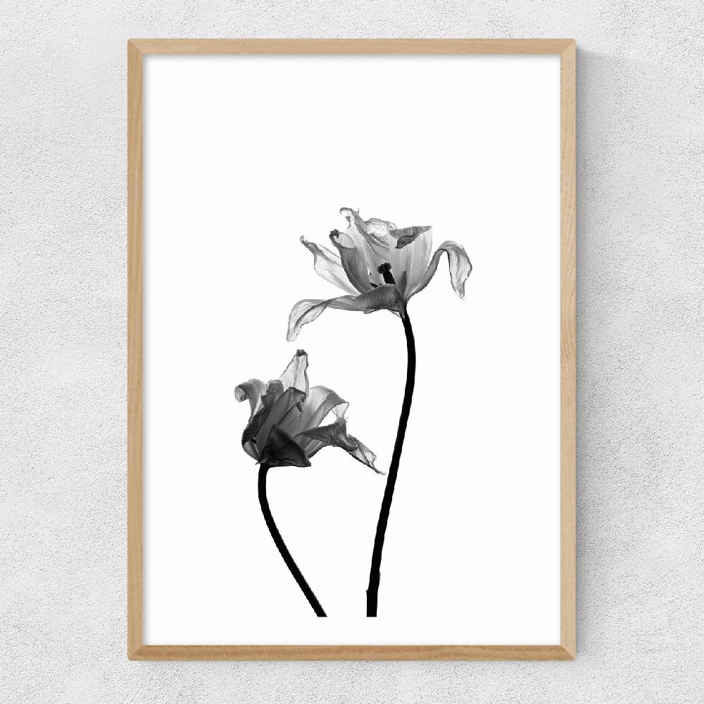 East End Prints Iris By Honeymoon Hotel