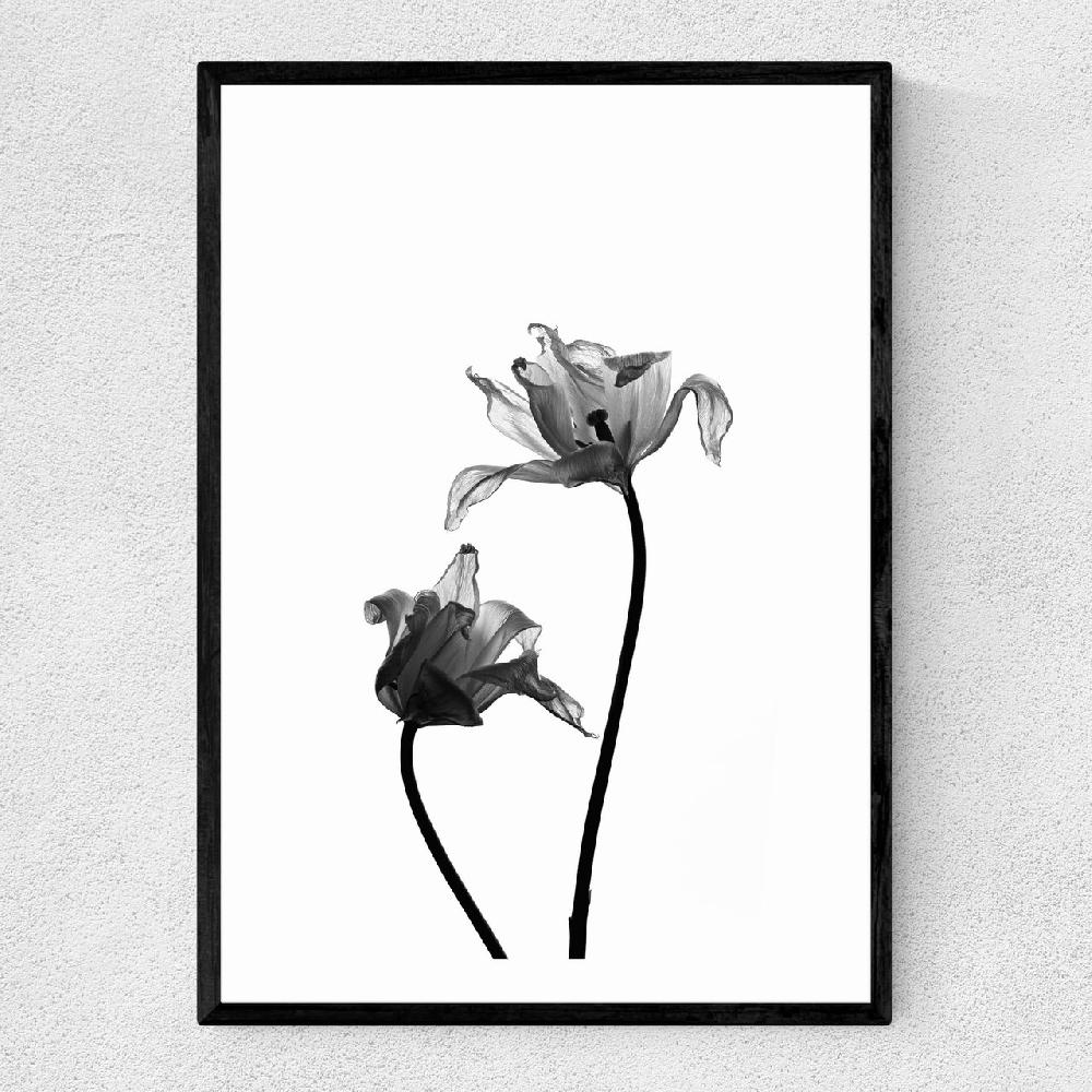 east end prints Iris by Honeymoon Hotel