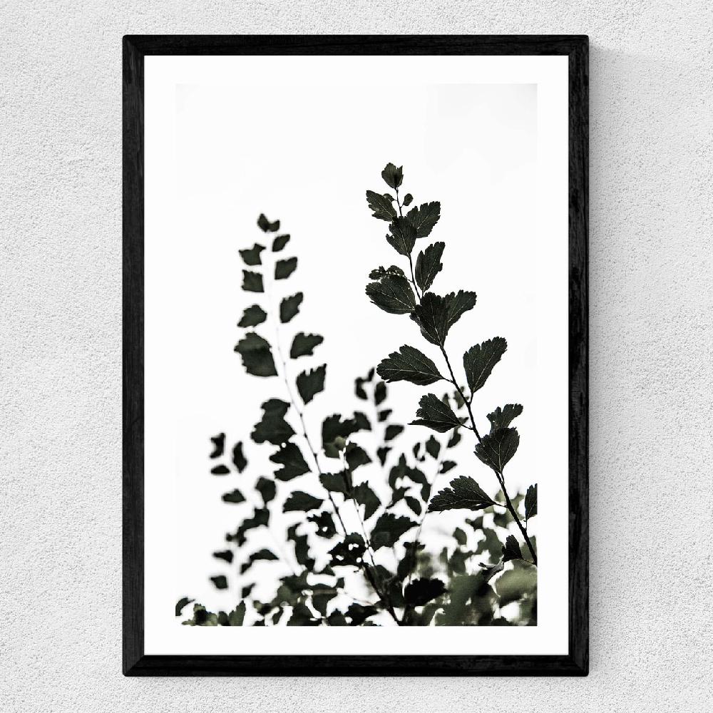 East End Prints Leaves 4