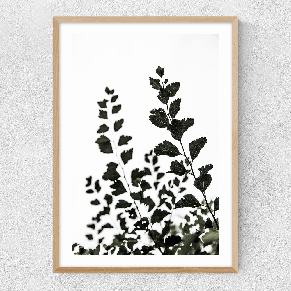 East End Prints Leaves 4