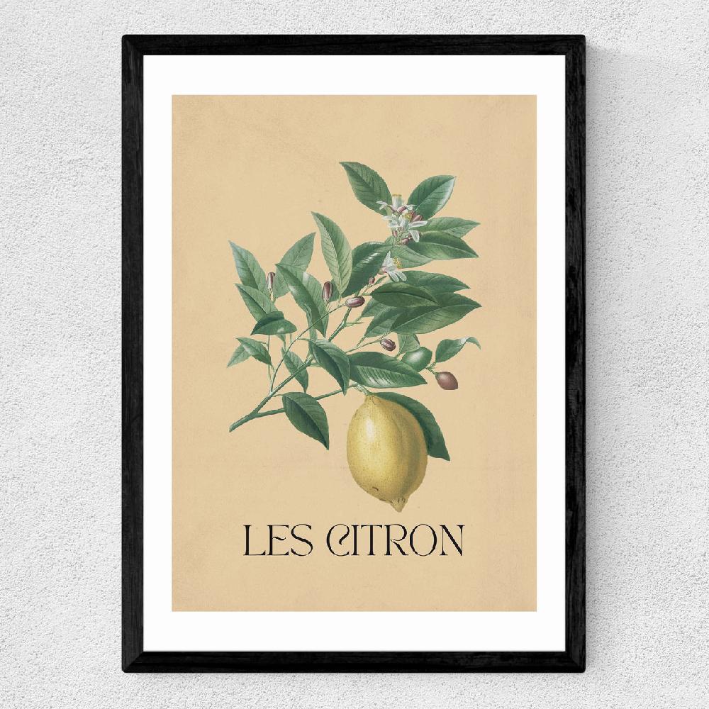 East End Prints Les Citron