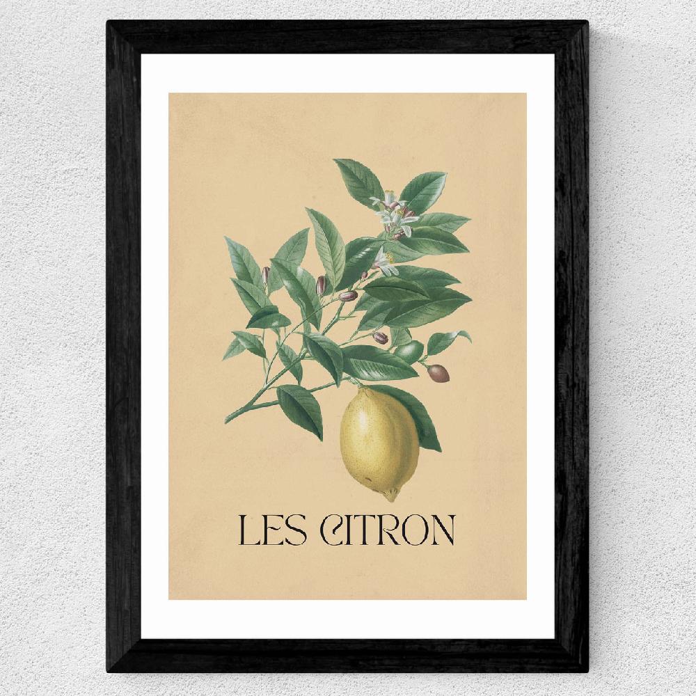 East End Prints Les Citron