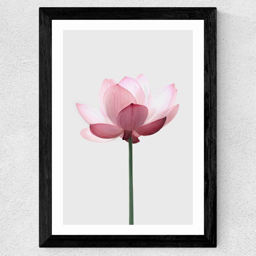 East End Prints Lotus