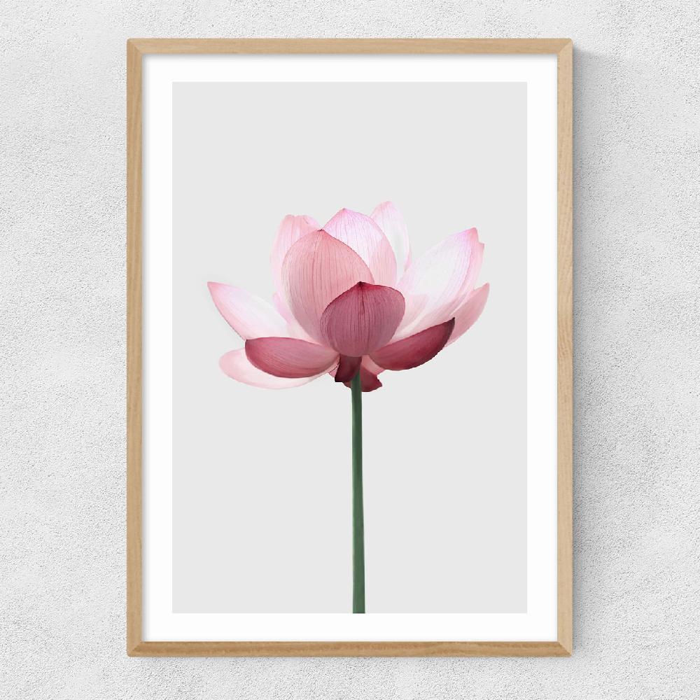 East End Prints Lotus