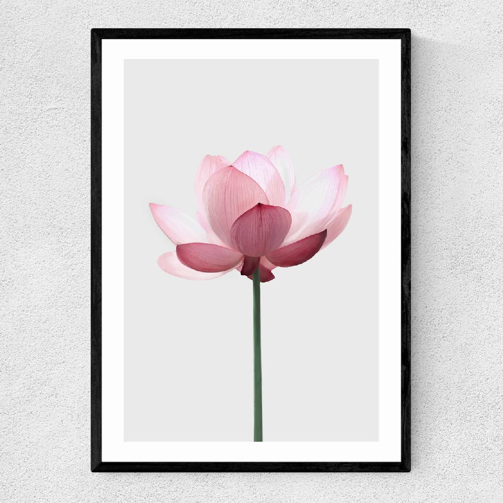 east end prints Lotus