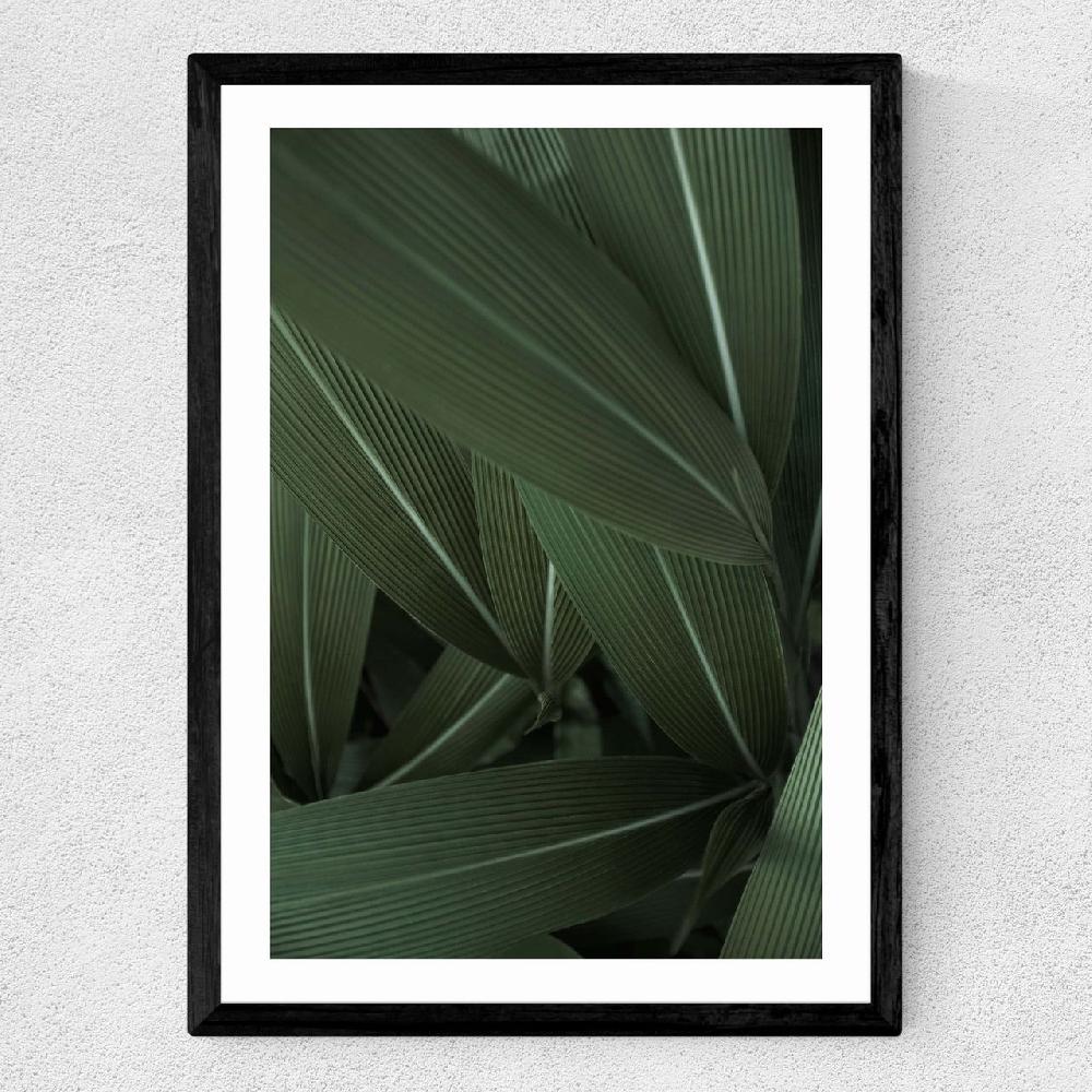 East End Prints Minimal Plants