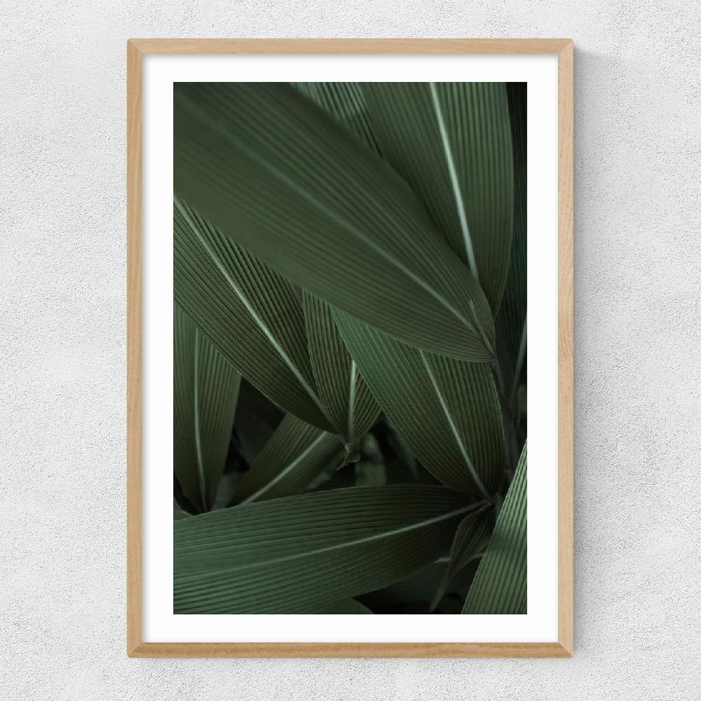 East End Prints Minimal Plants