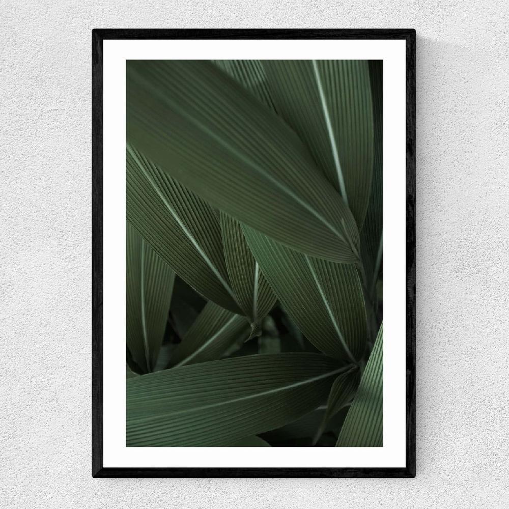 east end prints Minimal Plants