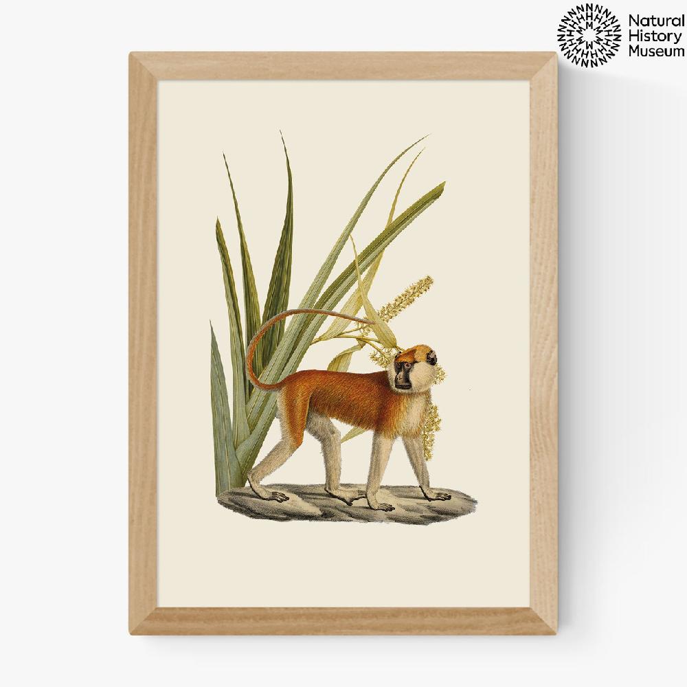 East End Prints Monkey And Leaves