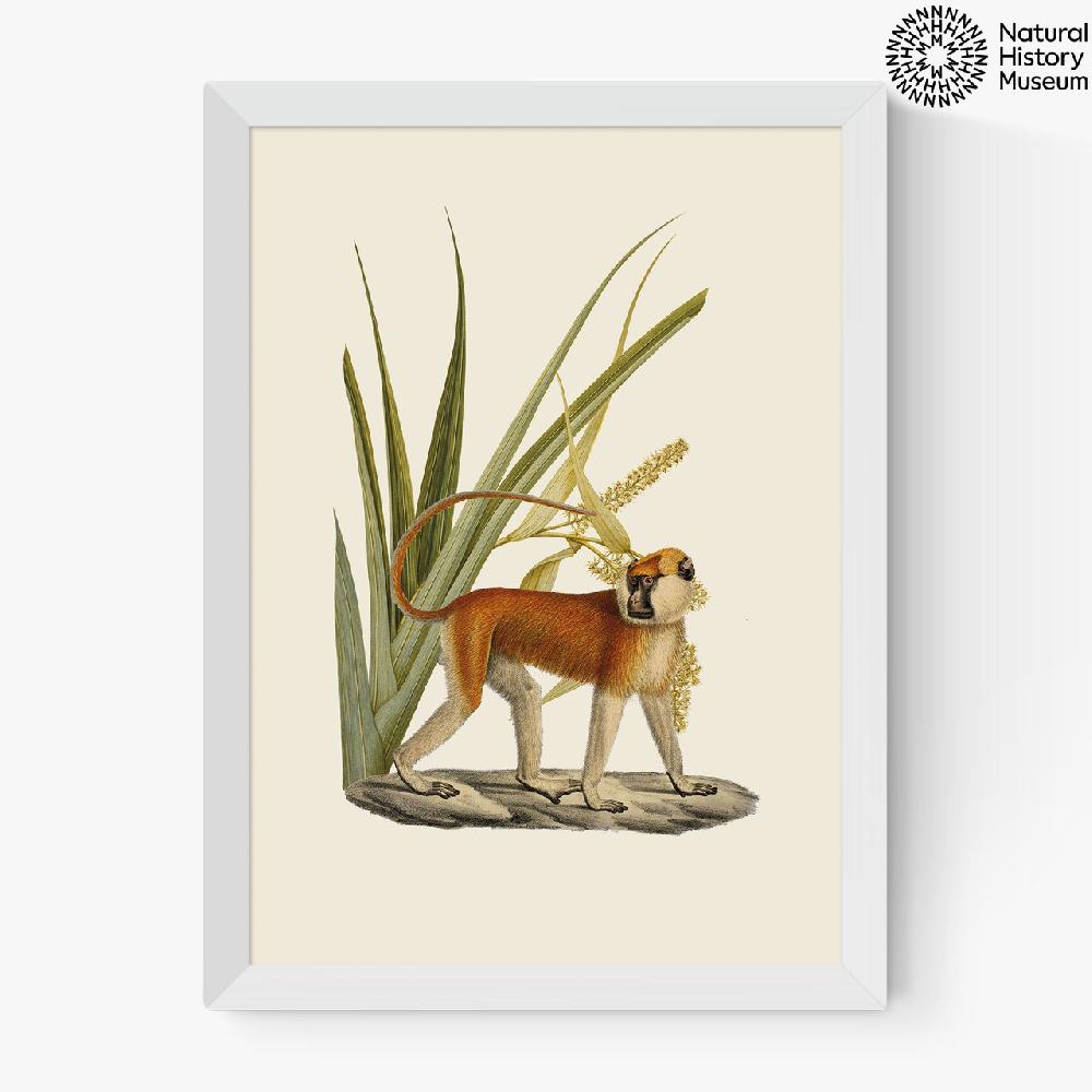 East End Prints Monkey And Leaves