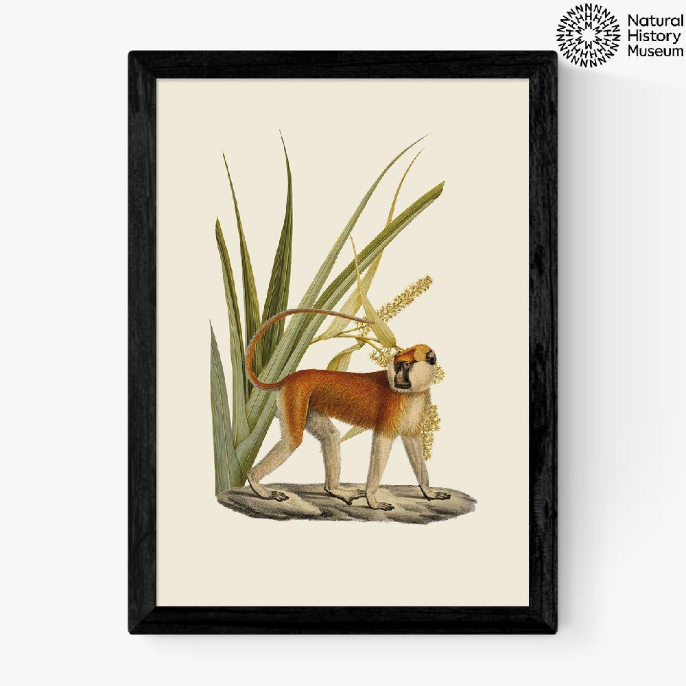 east end prints Monkey and Leaves