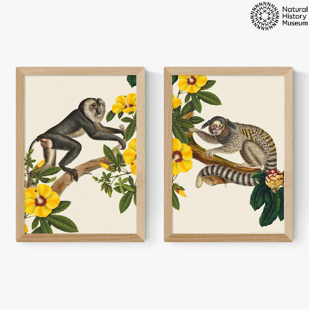 East End Prints Monkey Diptych