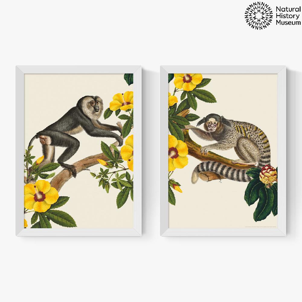 East End Prints Monkey Diptych
