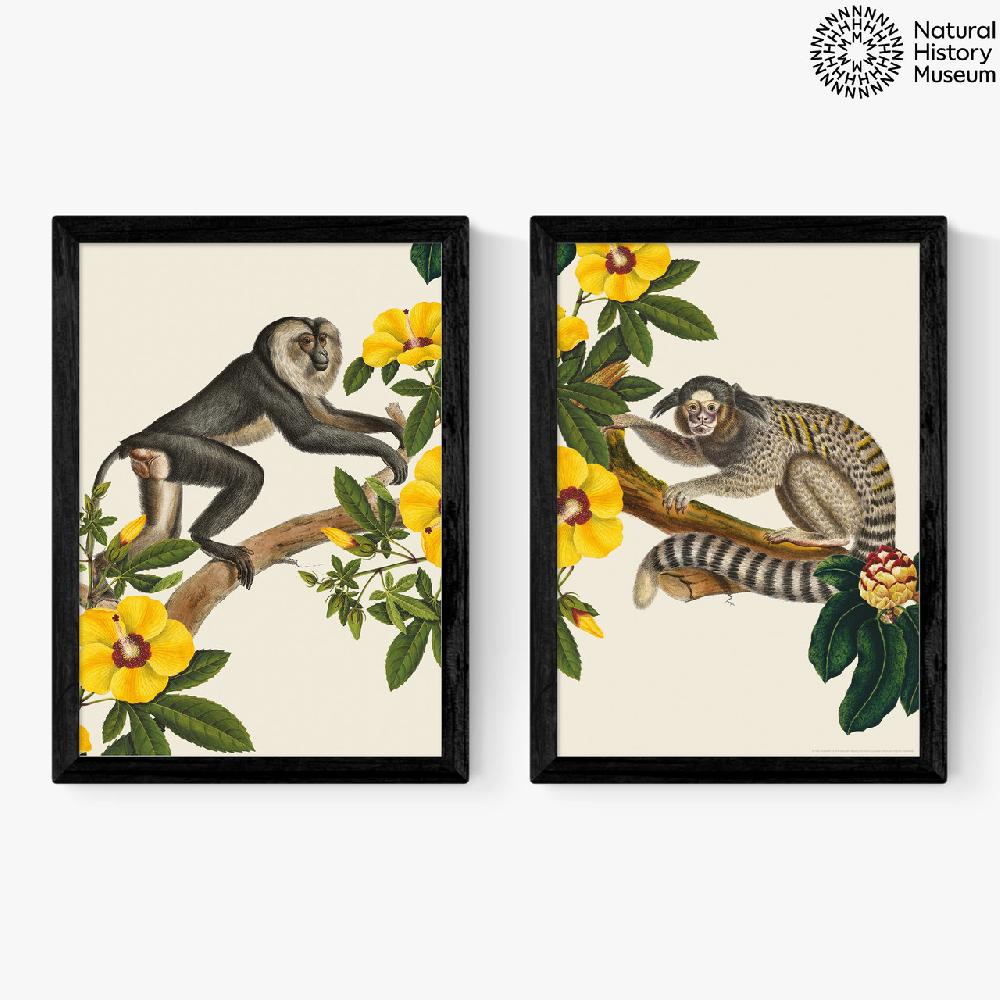 east end prints Monkey Diptych