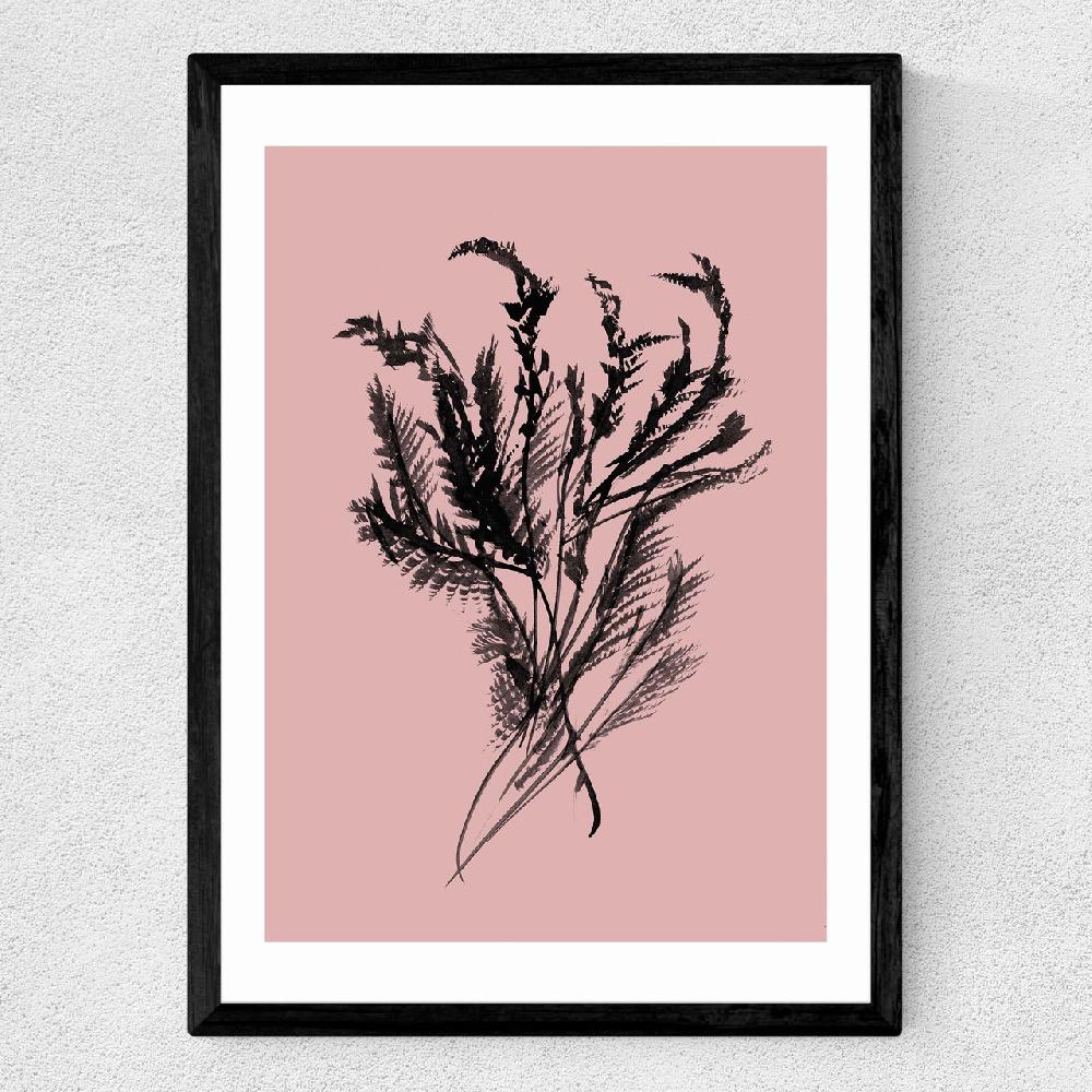 East End Prints Mono Botanical 2