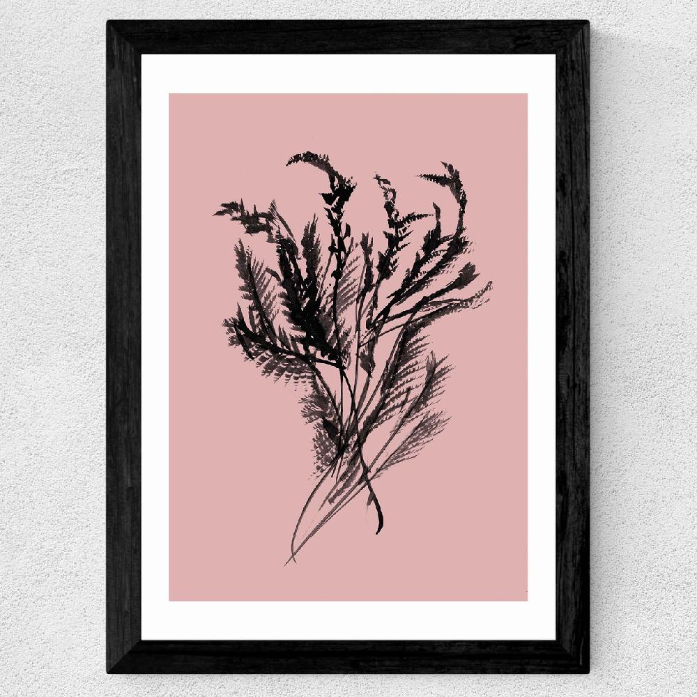 East End Prints Mono Botanical 2
