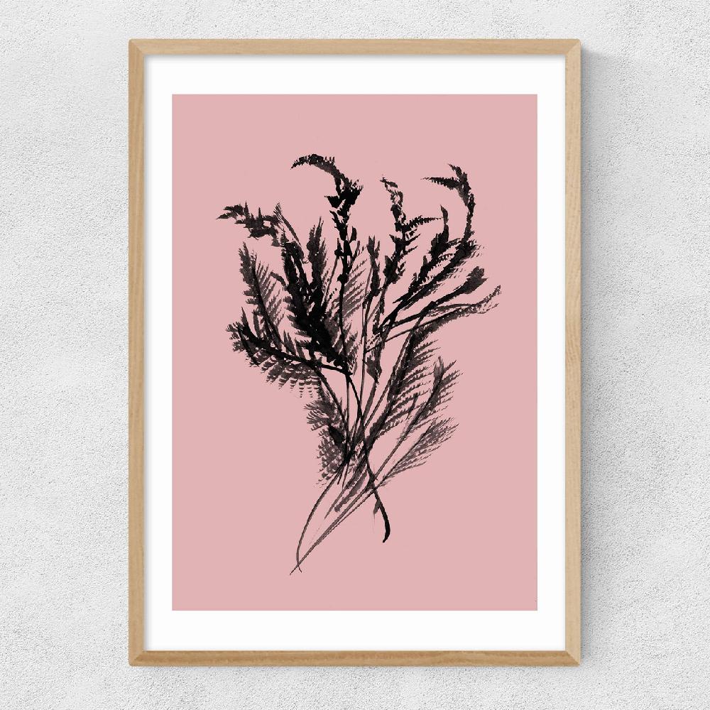 East End Prints Mono Botanical 2