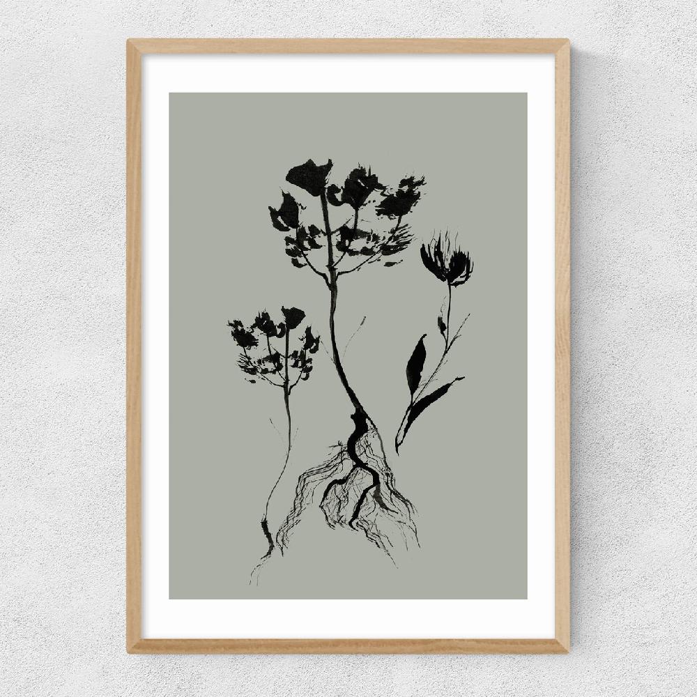 East End Prints Mono Botanical 6