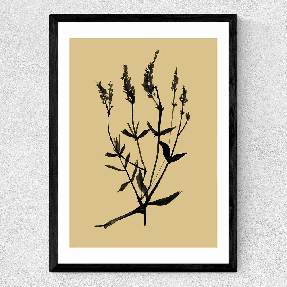 East End Prints Mono Botanical 7