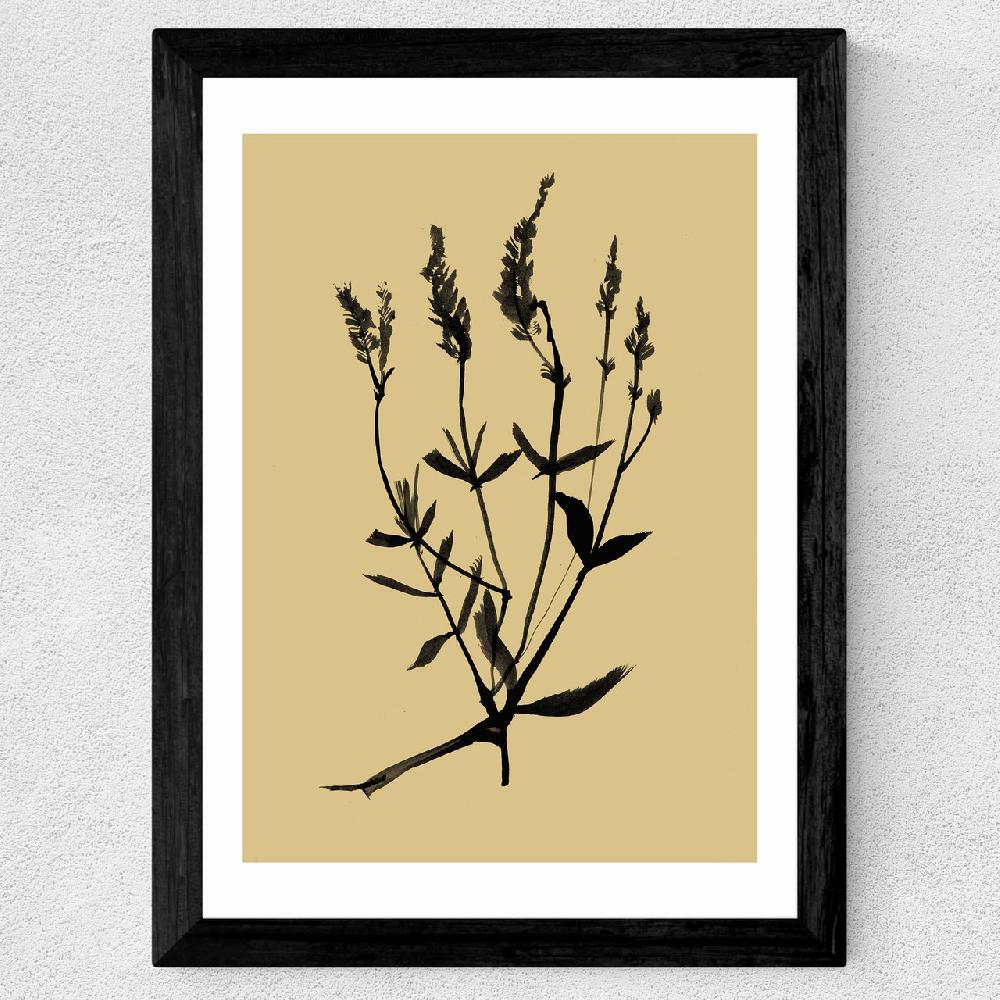 East End Prints Mono Botanical 7