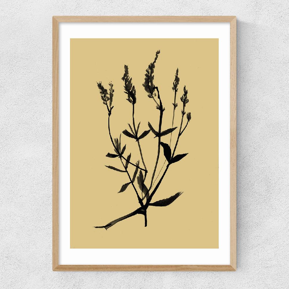 East End Prints Mono Botanical 7