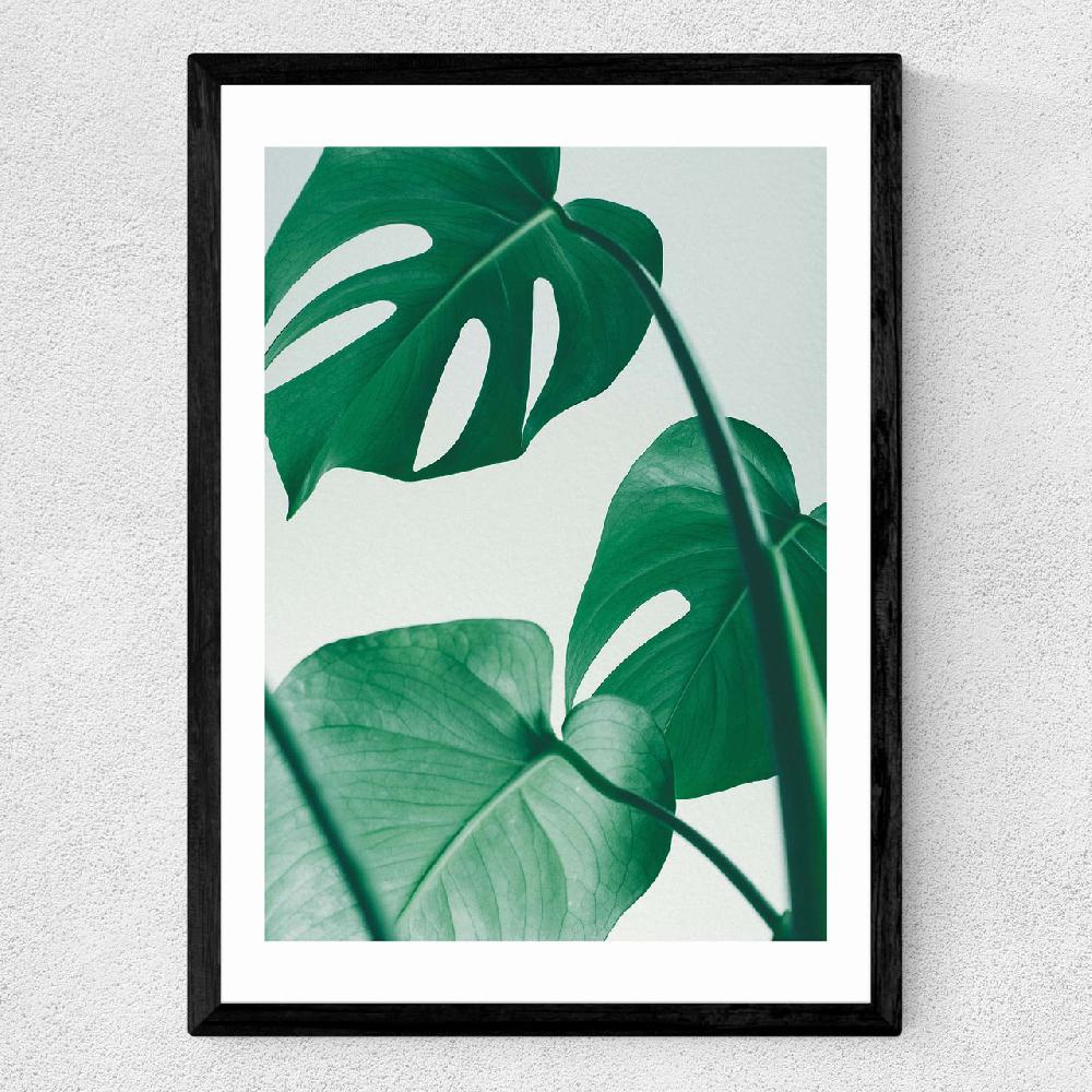 East End Prints Monstera By Rafael Farias