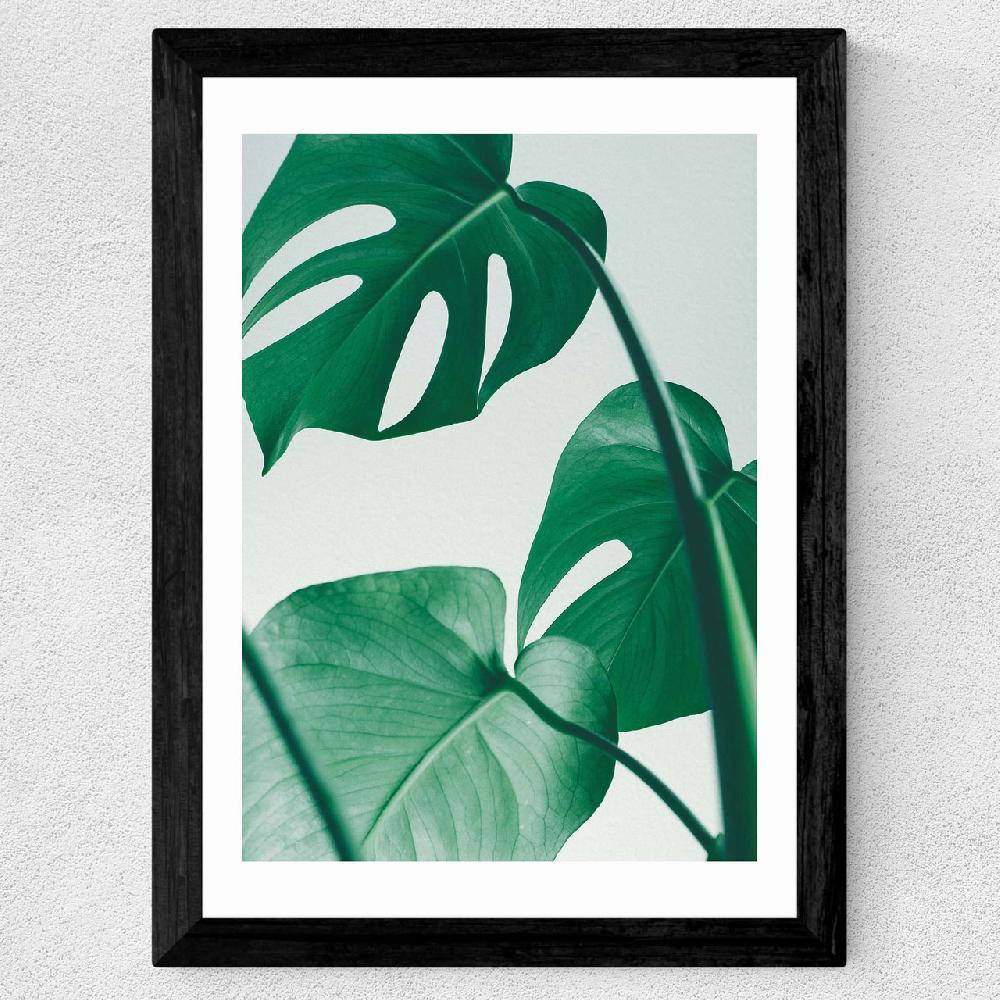 East End Prints Monstera By Rafael Farias