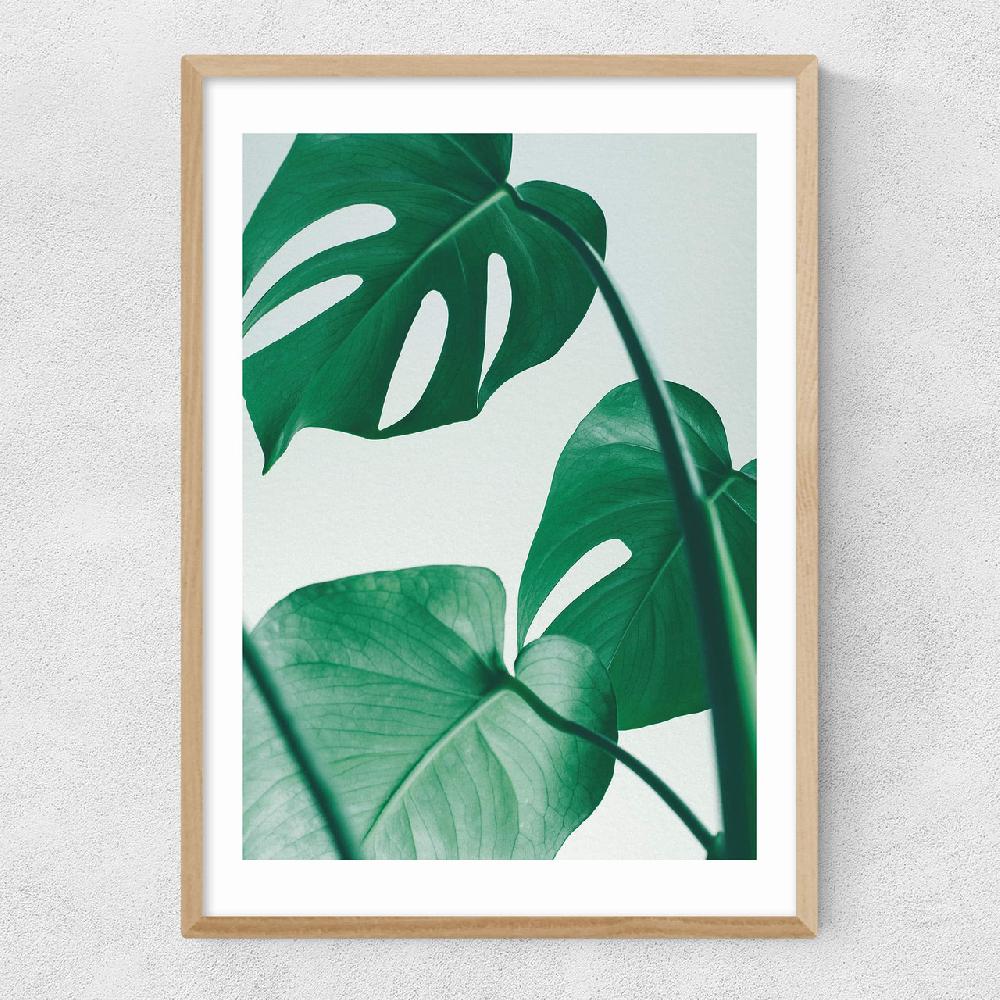 East End Prints Monstera By Rafael Farias