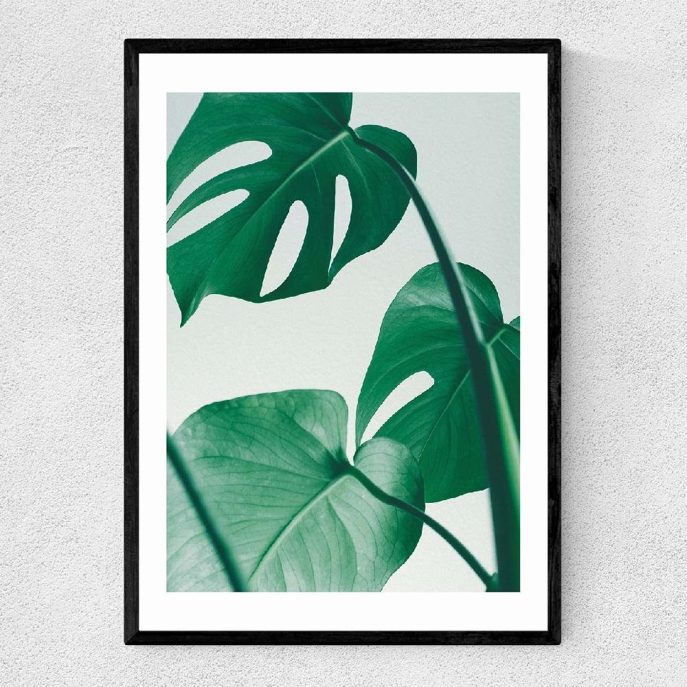 east end prints Monstera by Rafael Farias