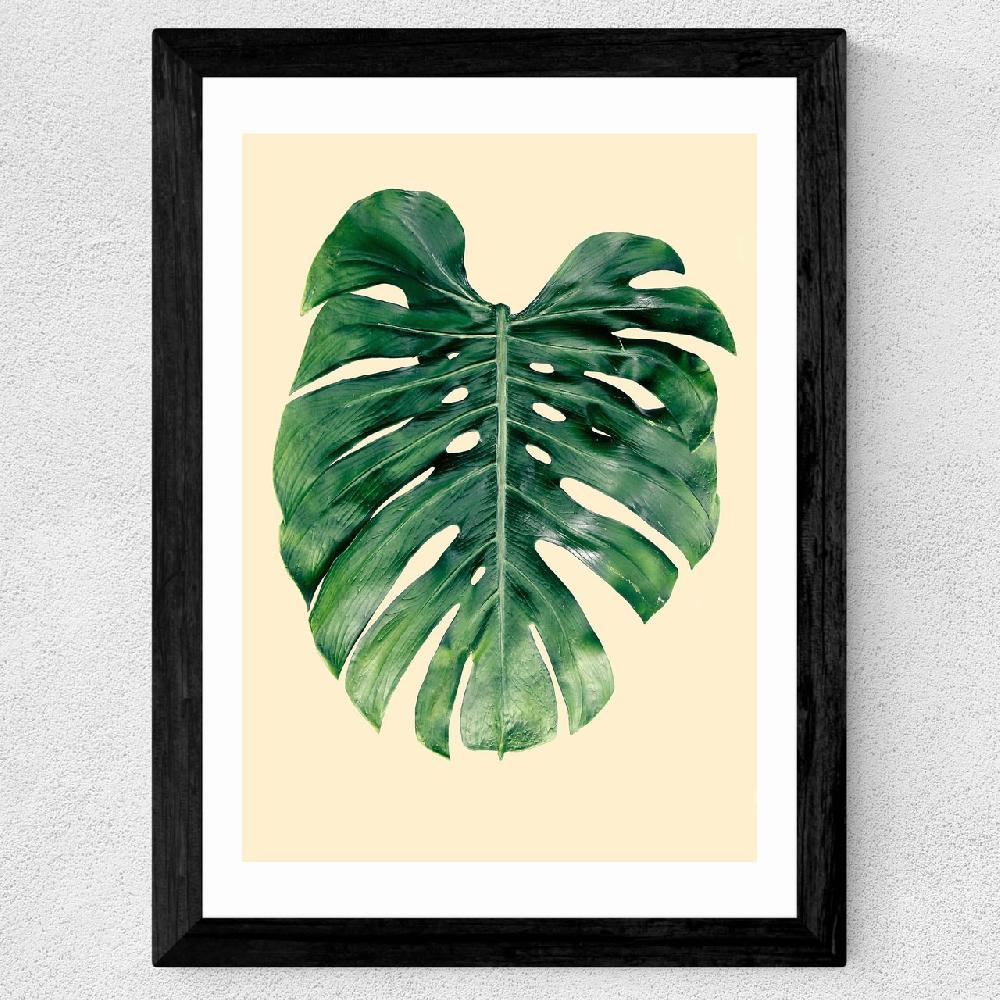 East End Prints Monstera Leaf By Rafael Farias