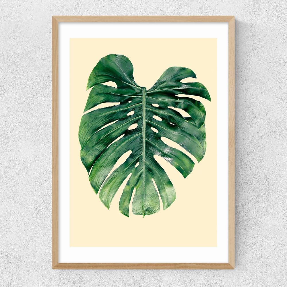 East End Prints Monstera Leaf By Rafael Farias