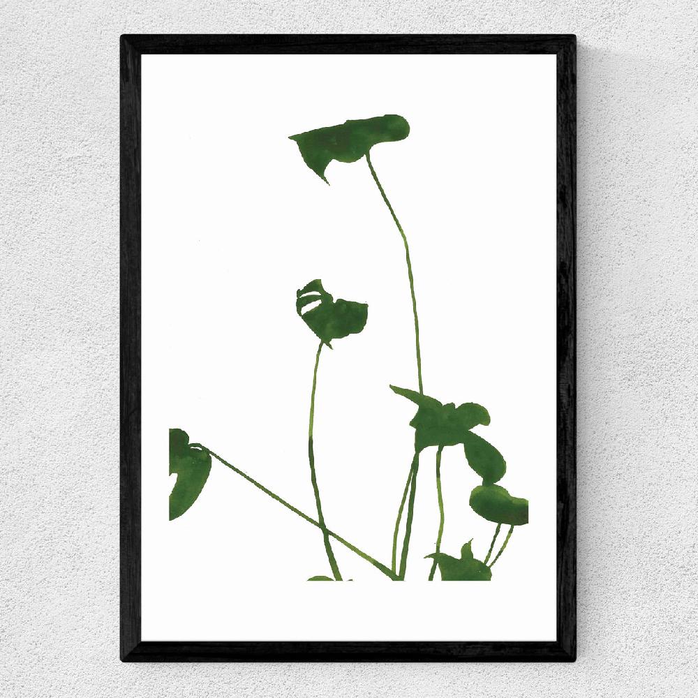 East End Prints Monsterra II