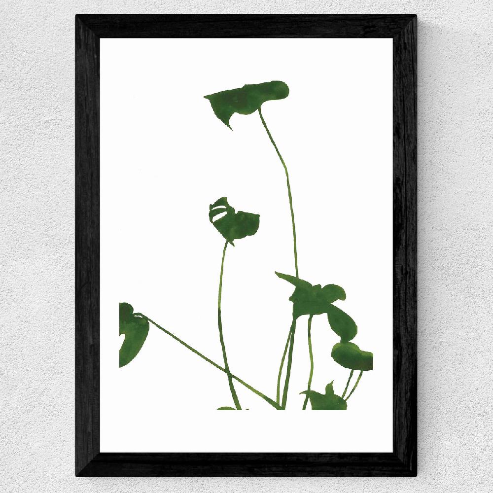East End Prints Monsterra II